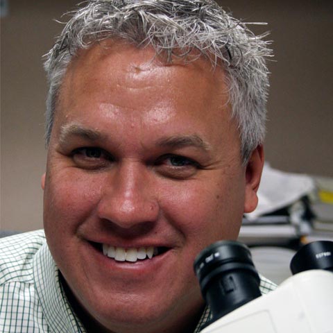 Frederick K. Swiger, Jr., M.D.